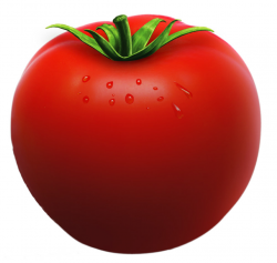 Free Tomato Cliparts, Download Free Clip Art, Free Clip Art ...