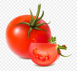 Tomato Png Image - Vegetables Fruits Vector Free Clipart ...
