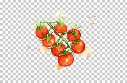 Juice Cherry Tomato Watercolor Painting Vegetable ...