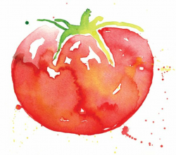 Tomato Watercolor at PaintingValley.com | Explore collection ...