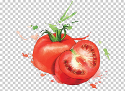 Watercolor painting Food Art Illustration, tomato, tomato ...