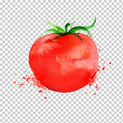 Pizza Parmigiana Tomato soup, Watercolor Tomatoes, red ...