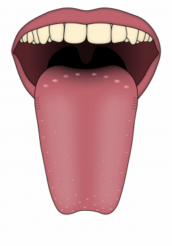 Tongue Clipart Clean Mouth Does It Mean If - Clip Art Library