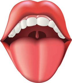 Tongue clipart 4 » Clipart Station
