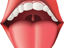 Free Tongue Clipart, Download Free Clip Art on Owips.com