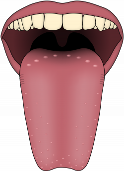 Clipart kids tongue, Clipart kids tongue Transparent FREE ...