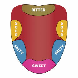 Want to get better at tasting wine? Get to know your tongue ...
