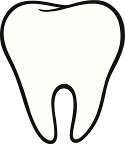 Tooth Clipart Images