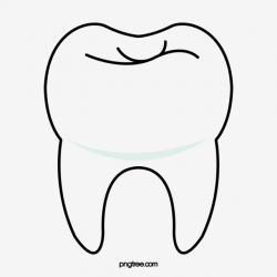 Cartoon Tooth, Cartoon Clipart, Tooth Clipart PNG ...