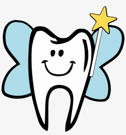 Baby Tooth Transparent Image - Tooth Fairy Clipart ...
