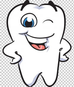 Human Tooth Smile Dentistry PNG, Clipart, Baby Teeth, Brush ...