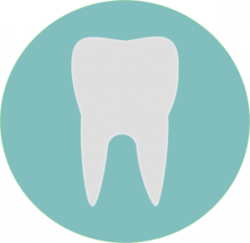 Tooth Clip Art at Clker.com - vector clip art online ...