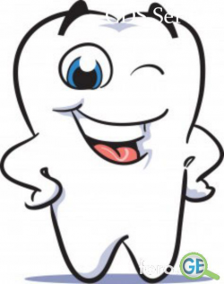 სტომატოლოგი - Google ძებნა | Tooth clipart ...
