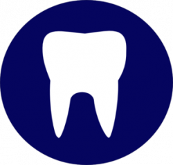 Tooth Logo - ClipArt Best