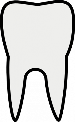 Free Molar Cliparts, Download Free Clip Art, Free Clip Art ...