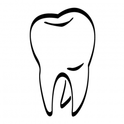 Free Molar Cliparts, Download Free Clip Art, Free Clip Art ...