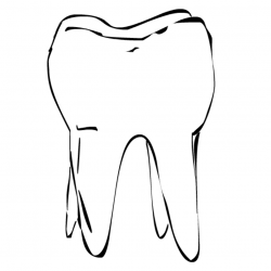Free Tooth Images Free, Download Free Clip Art, Free Clip ...
