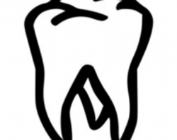 Free Molar Cliparts, Download Free Clip Art, Free Clip Art ...