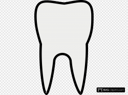 Tooth Molar Clip art, Icon and SVG - SVG Clipart