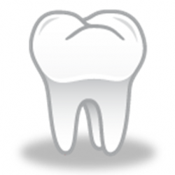 Free Molar Cliparts, Download Free Clip Art, Free Clip Art ...