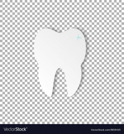 Tooth dental on transparent background