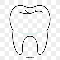 Tooth clipart vector, Tooth vector Transparent FREE for ...
