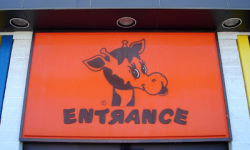 The Caldor Rainbow: Toys \