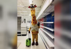 Photo of Geoffrey the Giraffe leaving an empty Toys \