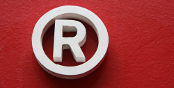 Why is trademark registration crucial in developing your ...