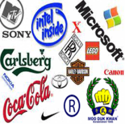 Trademark Infringement - Martial Art Fraud