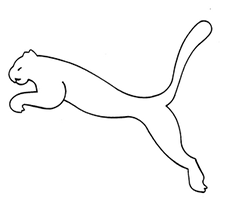 Brand Battles: Puma, Anheuser-Busch, Red Bull - Law360