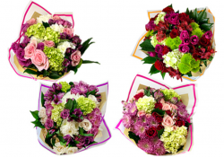 Article | Trader Joe\'s