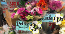 Trader Joe\'s Flower Bouquets Just $3.99 - Hip2Save