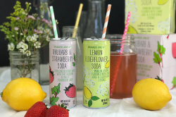 Springy Sodas | Trader Joe\'s