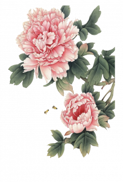 Flowers PNG Images Transparent Free Download | PNGMart.com