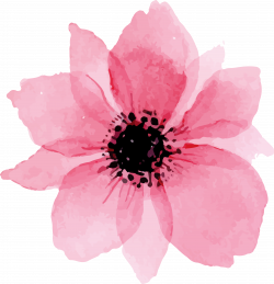 Euclidean vector - Pink lovely watercolor flowers png ...