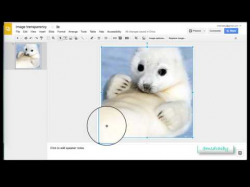 Google Slides Creating Transparent Background - YouTube