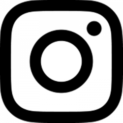 Google Chrome Icon transparent PNG - StickPNG