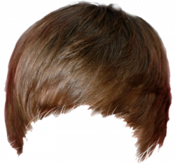 Hair PNG Images Transparent Free Download | PNGMart.com