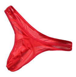 HP95(TM Men\'s Bikini Underwear,Mesh Ultra-Thin Transparent Thong Bikini  G-String (Red)