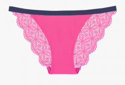 Special Edition Lace Navy Pink Knicker - Transparent ...
