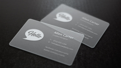 20+ Transparent Business Card Templates -Ms Word ...