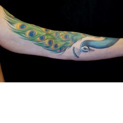 Ink by Marie Brennan (Diving Swallow Tattoo in Oakland, Ca ...