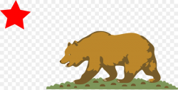 California Bear png download - 960*488 - Free Transparent ...