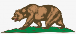 California Grizzly Bear California Grizzly Bear Drawing ...