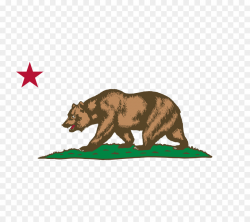 California Bear png download - 800*800 - Free Transparent ...