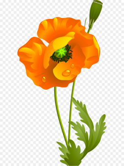 Flowers Clipart Background png download - 647*1200 - Free ...