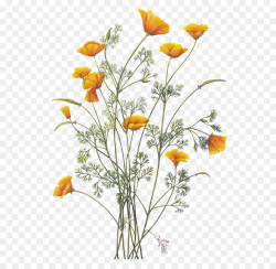 Watercolor Flower Background png download - 624*864 - Free ...