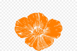 Peach Flower clipart - Poppy, Flower, Peach, transparent ...