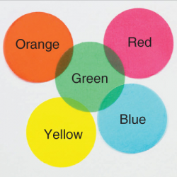 Color Coded Transparent Inventory Labels